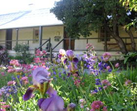 Raglan Gallery And Cultural Centre - Accommodation Mermaid Beach 0