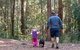 Olney State Forest - Watagan Mountains - thumb 0