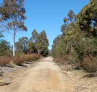 Werakata National Park - Accommodation Mermaid Beach