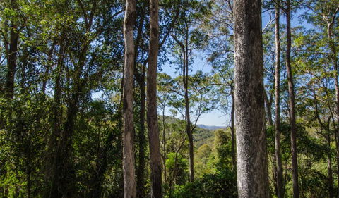 Basin Loop Track - Accommodation Mermaid Beach 3
