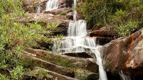Popran National Park - Accommodation Mermaid Beach 1
