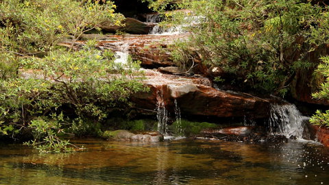 Popran National Park - Accommodation Mermaid Beach 2