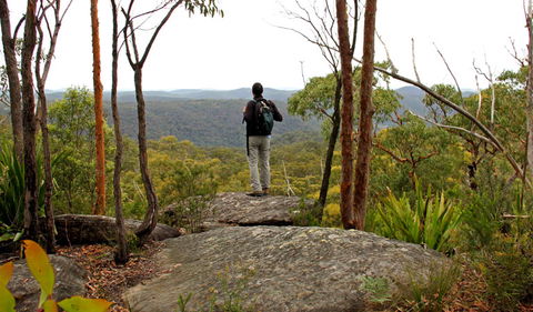 Mount Olive Lookout - Accommodation Mermaid Beach 1