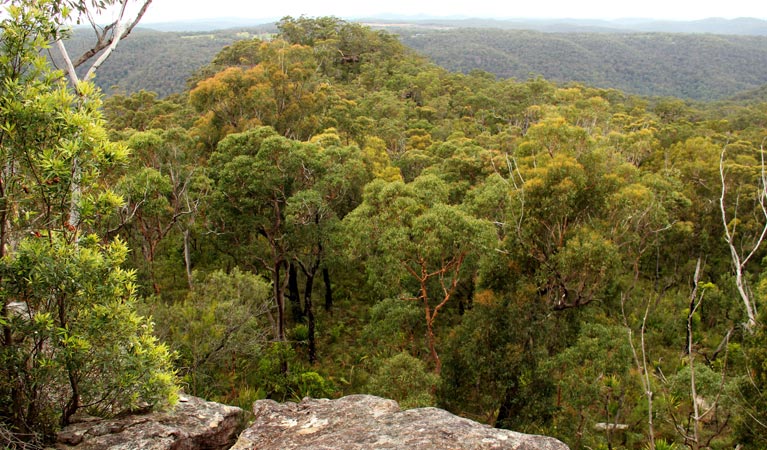 Mangrove Mountain NSW Accommodation Mermaid Beach
