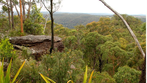 Mount Olive Lookout - Accommodation Mermaid Beach 2