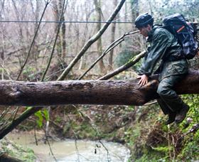 Bear Grylls Survival Academy - Accommodation Mermaid Beach 5