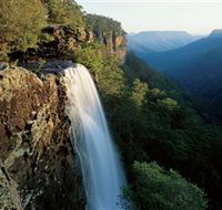 Fitzroy Falls - Accommodation Mermaid Beach