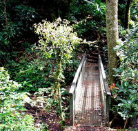 Richmond Range National Park - Accommodation Mermaid Beach