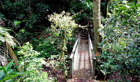 Richmond Range National Park - Accommodation Mermaid Beach 0