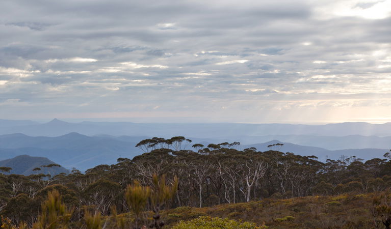 Budawang NSW Accommodation Mermaid Beach