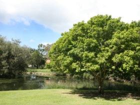 Hervey Bay Botanic Gardens - Accommodation Mermaid Beach 0