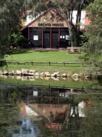 Hervey Bay Botanic Gardens - Accommodation Mermaid Beach 1