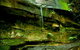 Strickland State Forest - thumb 0