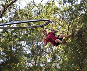 TreeTops Crazy Rider - Accommodation Mermaid Beach 1