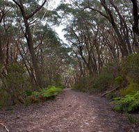 Budawang National Park - Accommodation Mermaid Beach