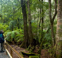 Monga National Park - Accommodation Mermaid Beach