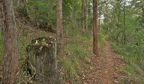 Border Loop Walk - Accommodation Mermaid Beach 0