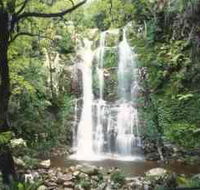 Budderoo National Park - The Falls Walk - Accommodation Mermaid Beach