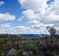 Barren Grounds Nature Reserve - Accommodation Mermaid Beach