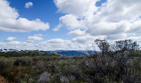 Barren Grounds Nature Reserve - Accommodation Mermaid Beach 0