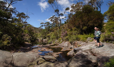 Barren Grounds Nature Reserve - Accommodation Mermaid Beach 1