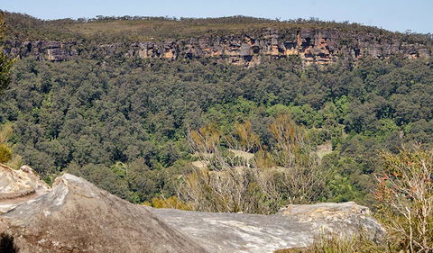 Barren Grounds Nature Reserve - Accommodation Mermaid Beach 3