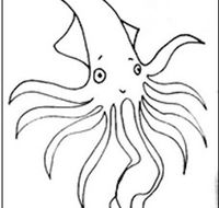 Squid Studio - Accommodation Mermaid Beach