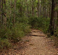 Pigeon House Mountain Didthul walking track - Accommodation Mermaid Beach
