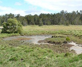 Boondall Wetlands Reserve - Accommodation Mermaid Beach 1