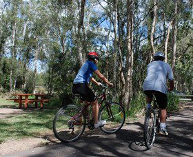 Boondall Wetlands Reserve - Accommodation Mermaid Beach 2