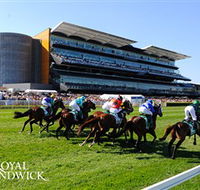 Royal Randwick Racecourse - Accommodation Mermaid Beach