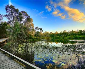 Berrinba Wetlands - Accommodation Mermaid Beach 0