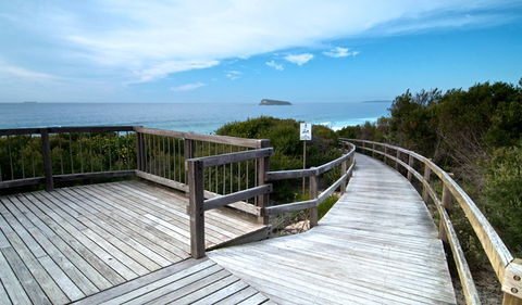 Tea Tree Picnic Area And Lookout - Accommodation Mermaid Beach 0