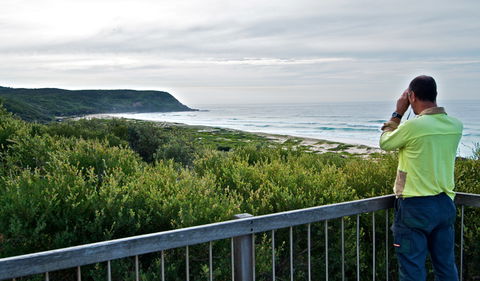 Tea Tree Picnic Area And Lookout - Accommodation Mermaid Beach 2