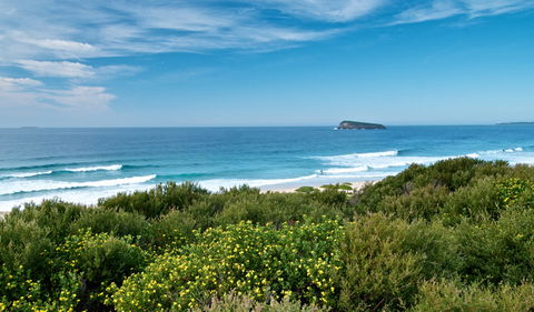 Tea Tree Picnic Area And Lookout - Accommodation Mermaid Beach 3