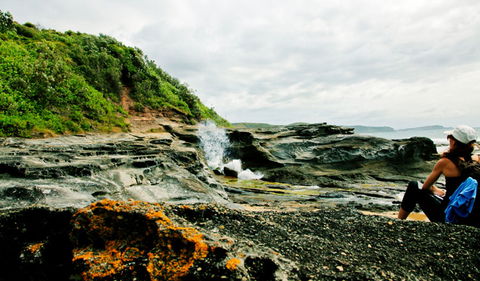 Glenrock State Conservation Area - Accommodation Mermaid Beach 0