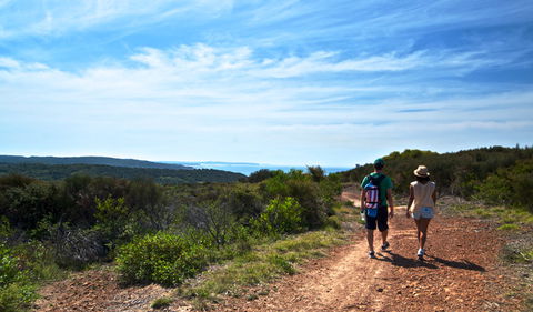 Moonee Beach Trail - Accommodation Mermaid Beach 0