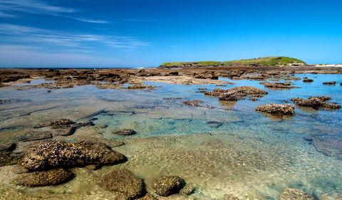 Moonee Beach Trail - Accommodation Mermaid Beach 2
