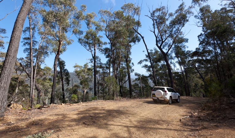 Wadbilliga NSW Accommodation Mermaid Beach