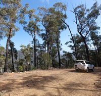 Wadbilliga Road drive - Accommodation Mermaid Beach