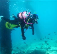 Shellharbour Scuba  Photography Centre - Accommodation Mermaid Beach