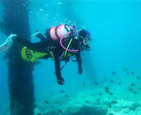 Shellharbour Scuba & Photography Centre - Accommodation Mermaid Beach 0