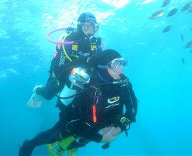 Shellharbour Scuba & Photography Centre - Accommodation Mermaid Beach 1