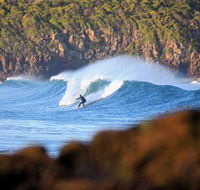 Killalea Beach - Accommodation Mermaid Beach