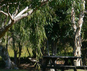 Casino NSW Accommodation Mermaid Beach