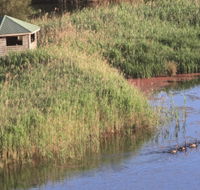 Spring Creek Bird Hide - Accommodation Mermaid Beach