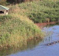 Spring Creek Wetlands Walk - Accommodation Mermaid Beach