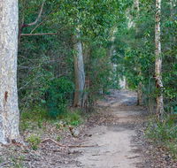 Delta track - Accommodation Mermaid Beach