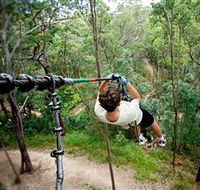 TreeTop Challenge - Accommodation Mermaid Beach