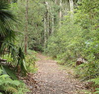 Lake walking track - Accommodation Mermaid Beach
